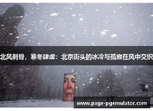 北风刺骨,寒冬肆虐:北京街头的冰冷与孤寂在风中交织 北风刺骨,寒冬肆虐:北京街头的冰冷与孤寂在风中交织