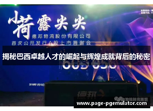 揭秘巴西卓越人才的崛起与辉煌成就背后的秘密