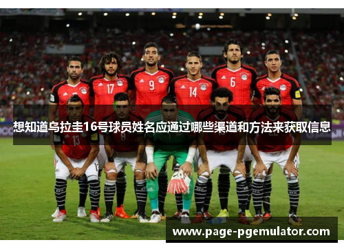 想知道乌拉圭16号球员姓名应通过哪些渠道和方法来获取信息
