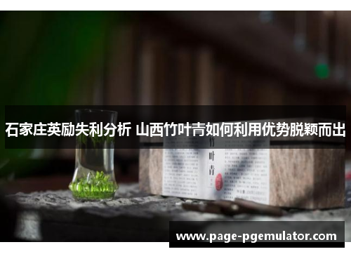 石家庄英励失利分析 山西竹叶青如何利用优势脱颖而出