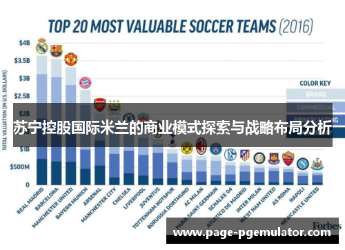 苏宁控股国际米兰的商业模式探索与战略布局分析