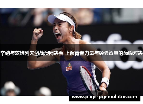 辛纳与兹维列夫激战澳网决赛 上演青春力量与经验智慧的巅峰对决