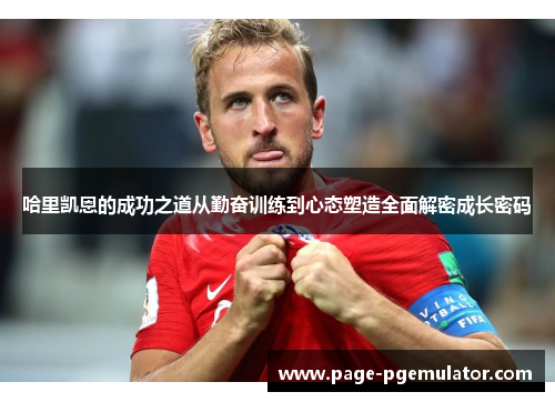 哈里凯恩的成功之道从勤奋训练到心态塑造全面解密成长密码