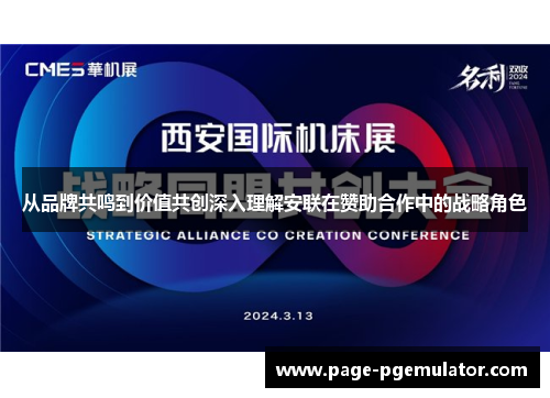 从品牌共鸣到价值共创深入理解安联在赞助合作中的战略角色