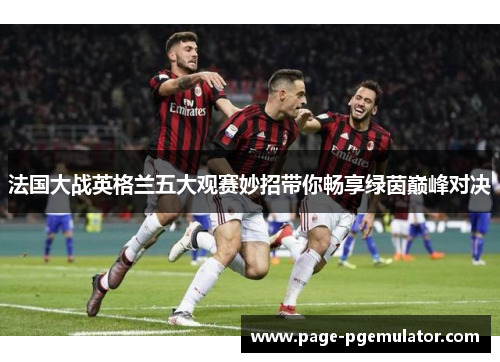 法国大战英格兰五大观赛妙招带你畅享绿茵巅峰对决 法国大战英格兰五大观赛妙招带你畅享绿茵巅峰对决