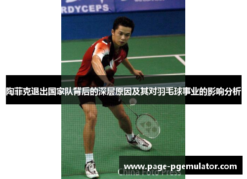陶菲克退出国家队背后的深层原因及其对羽毛球事业的影响分析 陶菲克退出国家队背后的深层原因及其对羽毛球事业的影响分析