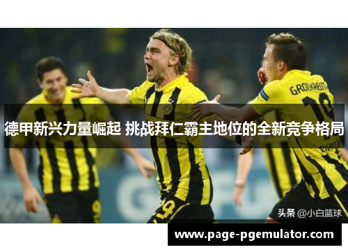 德甲新兴力量崛起 挑战拜仁霸主地位的全新竞争格局