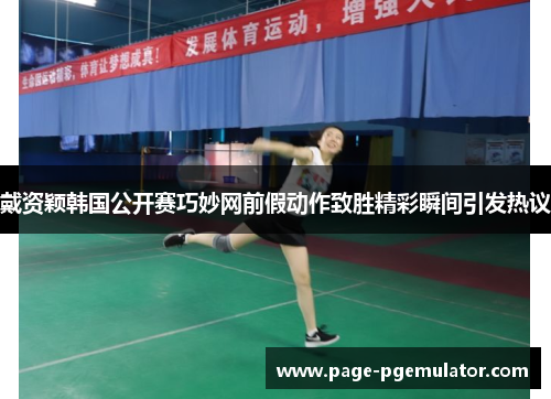 戴资颖韩国公开赛巧妙网前假动作致胜精彩瞬间引发热议