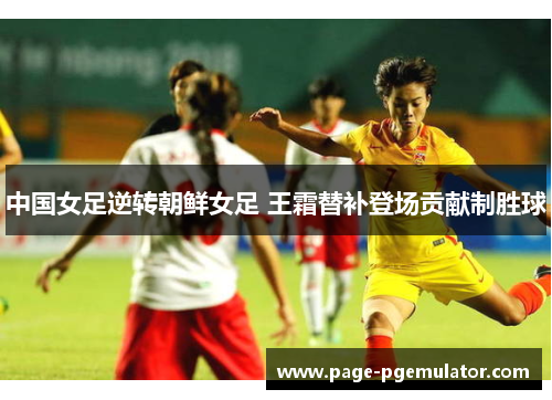 中国女足逆转朝鲜女足 王霜替补登场贡献制胜球